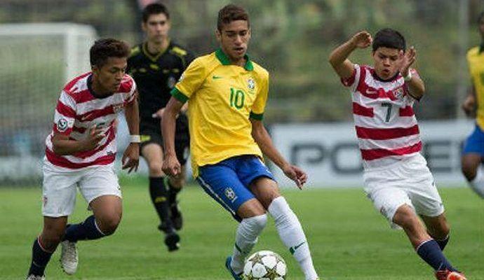 提供了强有 提供了强有